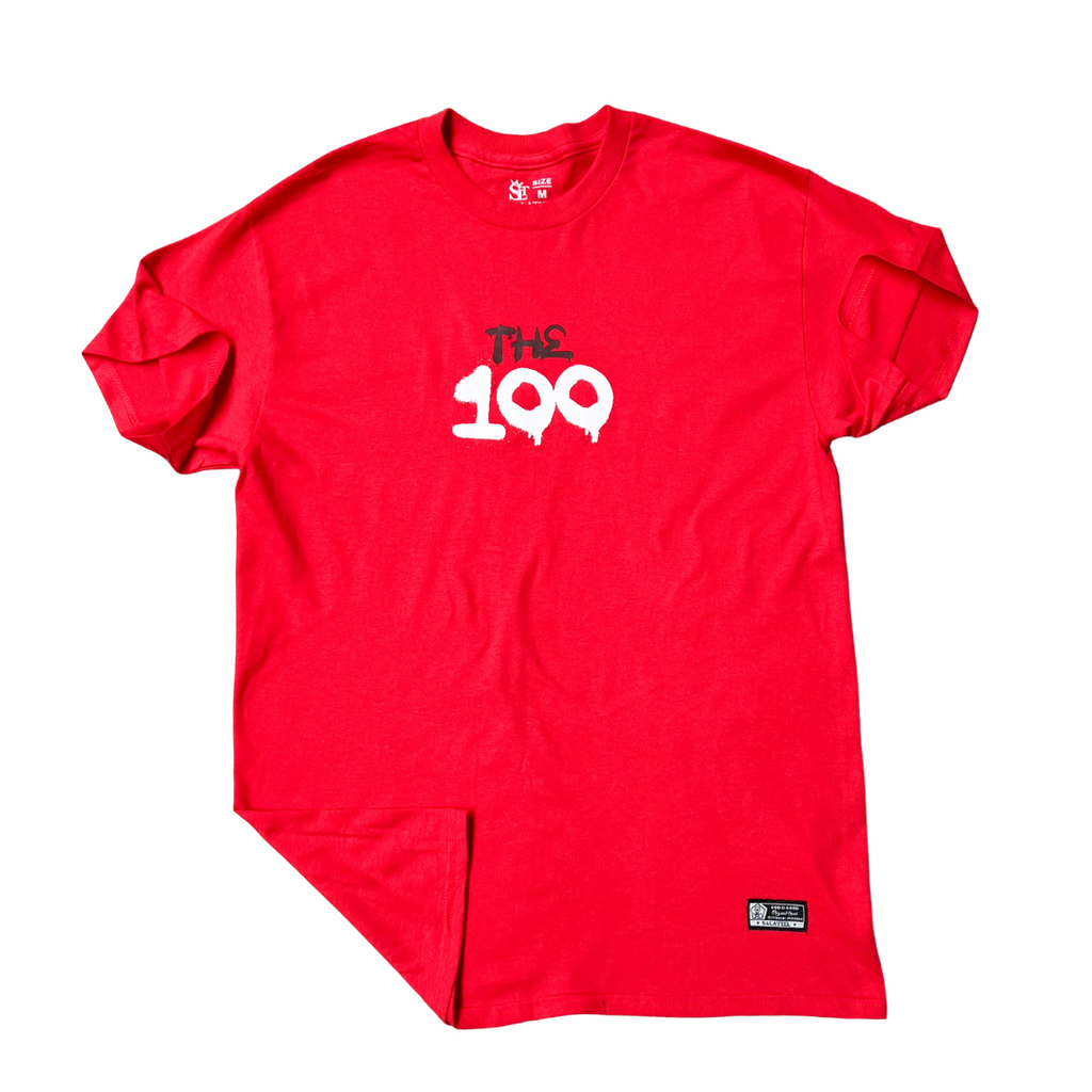 PROMO CAMISETAS 100% ALGODÓN UNISEX