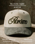 GORRA PREMIUM CURVA BEIGE - VERDE PROPÓSITO
