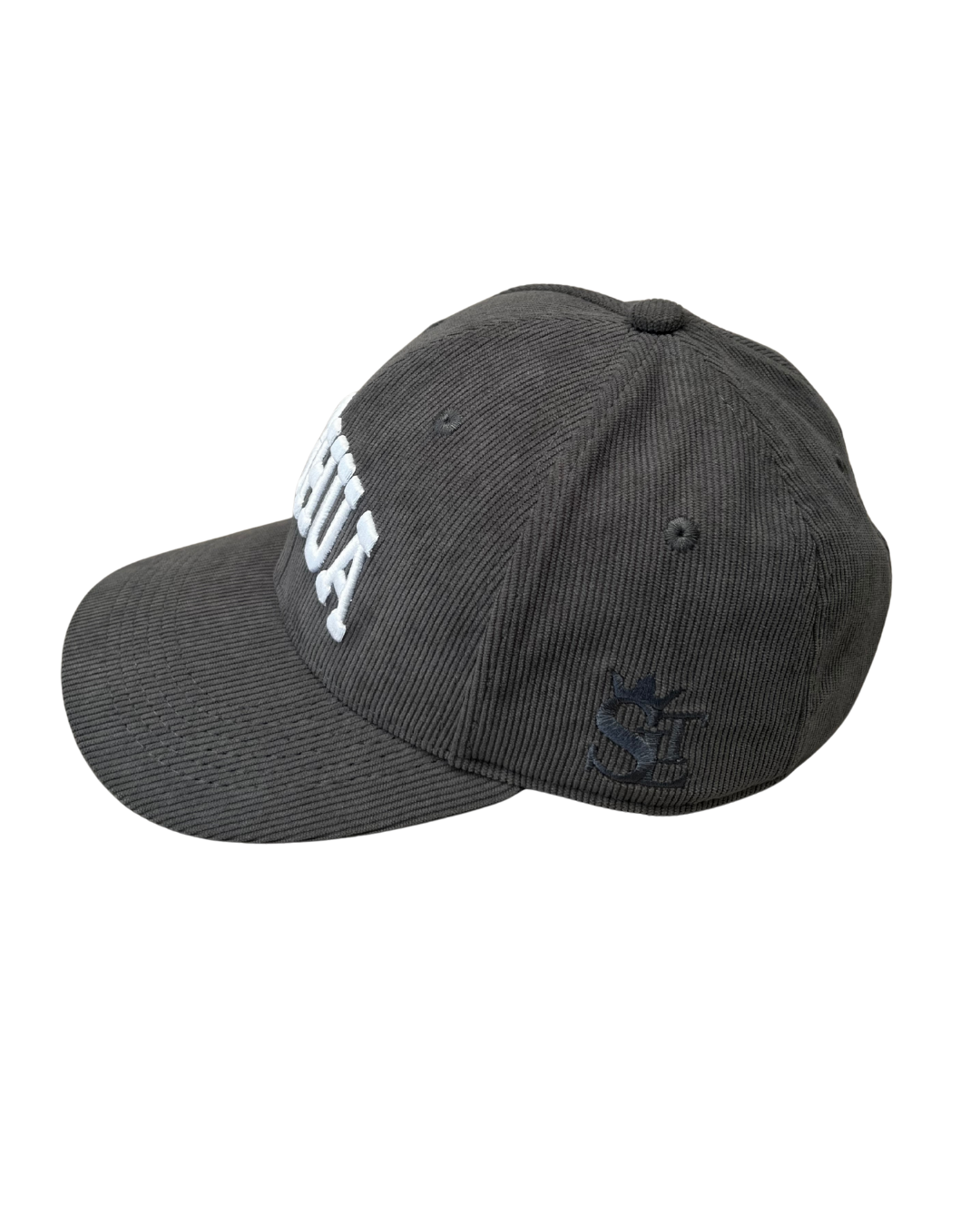 GORRA CURVA GRIS PANA YESHUA